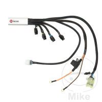 Responsabile accessori Hex ezCAN per KTM 1050 1190 1290
