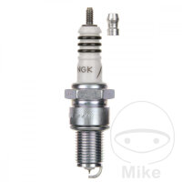 Buj&iacute;a BPR6EIX NGK SAE suelta para BMW Gas Gas...