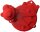 Ignition cover protector red for Gas Gas EC 250 300 # 2016-2019