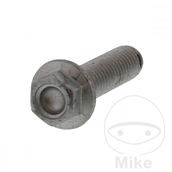 Vite M8x1,25x30 per Aprilia 50 125 200 250 300 500 650 Cagiva 125 600