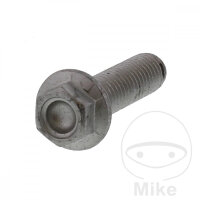 Schraube M8x1,25x30 f&uuml;r Aprilia 50 125 200 250 300...