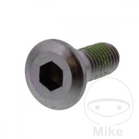 Schraube M8x1,25x22 f&uuml;r Honda 125 250 300 400 450...
