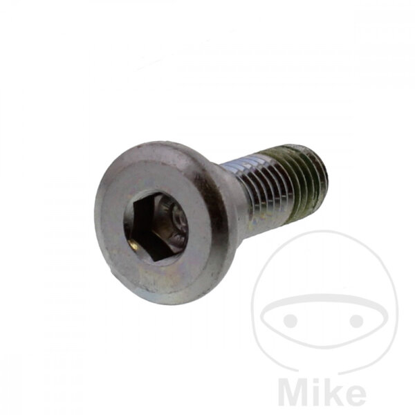 Tornillo M8x1,25x24 para Honda 90 100 125 150 250 500 600 650 750 900 1000 1100 1300