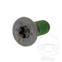 Schraube M8x1,25x20 f&uuml;r Hercules Peugeot Sachs
