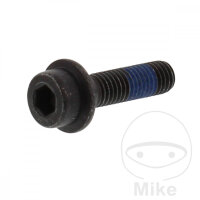 Schraube M8x1,25x30 f&uuml;r Suzuki 125 250 500 600 750