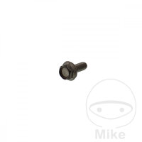 Schraube M6x1x16 f&uuml;r Yamaha DT 50 80 125 TT 600 XT...