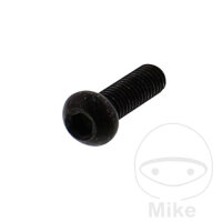 Schraube M8x1,25x25 f&uuml;r Yamaha 250 600 650 750 850...