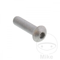 Schraube M8x1,25x30 f&uuml;r Aprilia 50 125 200 250 500