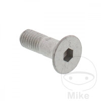 Vite svasata M8x1,25x26 per Aprilia MX RX SX Tuareg 125...