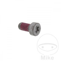 Vite M6x1x12 per BMW F 650 650 CS Scarver 02-05