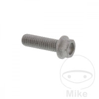 Schraube M6x1x20 f&uuml;r KTM 125 200 250 300 350 360 380...