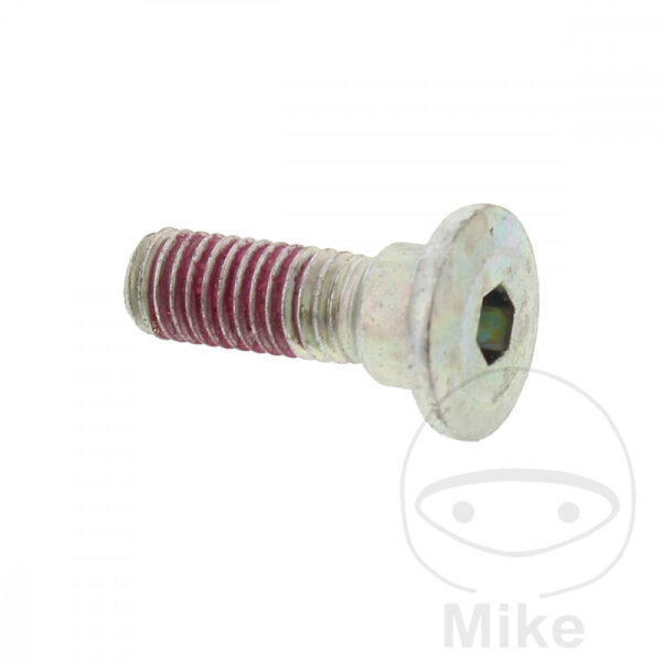 Screw M8x1.25x25 for KTM Duke RC 125 200 390