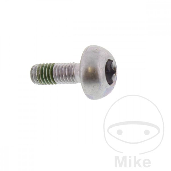 Vite M6x1x17 per Honda CBR 600 900 RVF 750 ST 1300