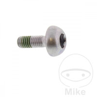 Schraube M6x1x17 f&uuml;r Honda CBR 600 900 RVF 750 ST 1300