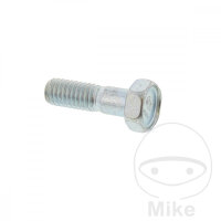 Schraube M6x1x19 f&uuml;r Honda CR 125 250 500 CRF 250 450