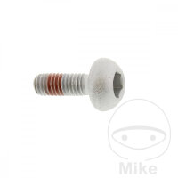 Schraube M6x1x17 f&uuml;r Honda CB 1100 CBR 1000 GL 1800...