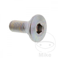 Schraube M8x1,25x20 f&uuml;r Kawasaki BJ KFX 250 KLF 300...