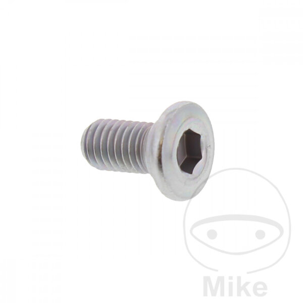 Vite M8x1,25x15 per Kawasaki KL KLR 650 KLE 500
