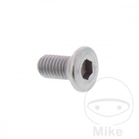 Schraube M8x1,25x15 f&uuml;r Kawasaki KL KLR 650 KLE 500