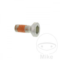 Schraube M6x1x12 f&uuml;r Suzuki DR 125 DR-Z 400 RM 125 250