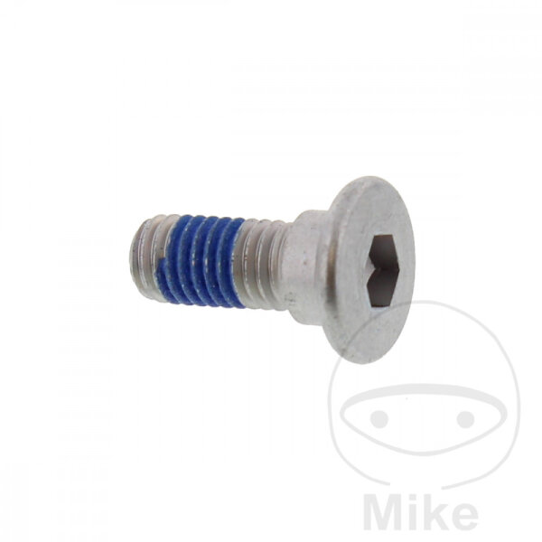 Vite M8x1,25x20 per Suzuki VL 800 01-17