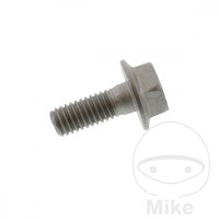 Schraube M6x1x16 f&uuml;r Yamaha DT TW 125 WR 125 250 400...