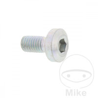 Schraube M8x1,25x17 f&uuml;r Yamaha YBR 125 05-16