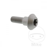 Schraube M6x1x20 f&uuml;r Yamaha FZ1 YZF-R1 1000 MT-01...