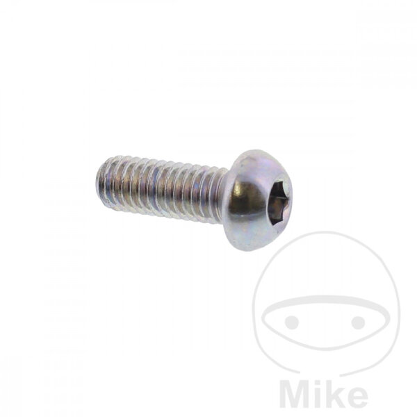 Vite M6x1x16 per Yamaha DT TDR 125