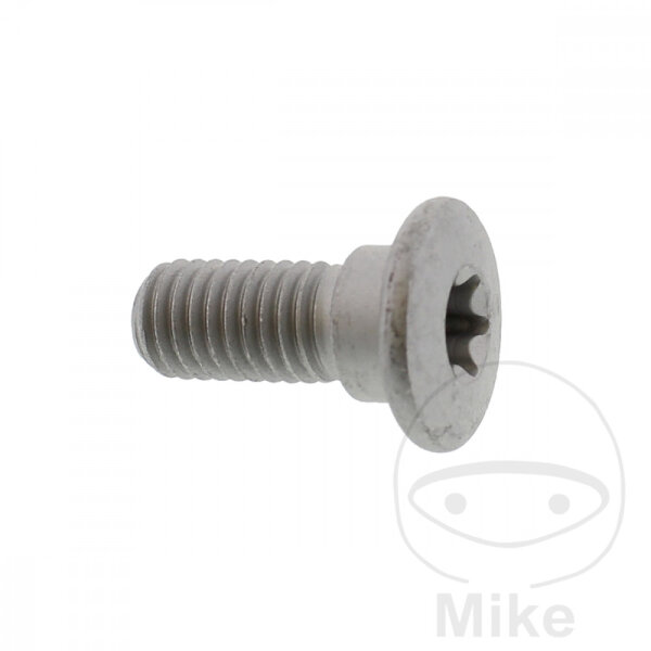 Vite M8x1,25x20 per Yamaha FZ1 YZF-R1 1000 XP 530 YFZ-R6 600