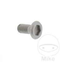 Schraube M6x1x14 f&uuml;r Yamaha WR 250 450 YZ 125 250 450