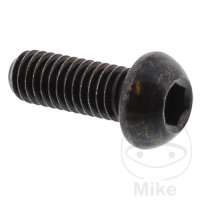 Schraube M6x1x16 f&uuml;r Yamaha XT 600 YZ 125 250