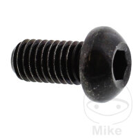 Schraube M8x1,25x16 f&uuml;r Yamaha XTZ 660 XV 125