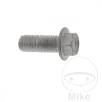 Vite M8x1,25x22 per BMW R 1200 05-11
