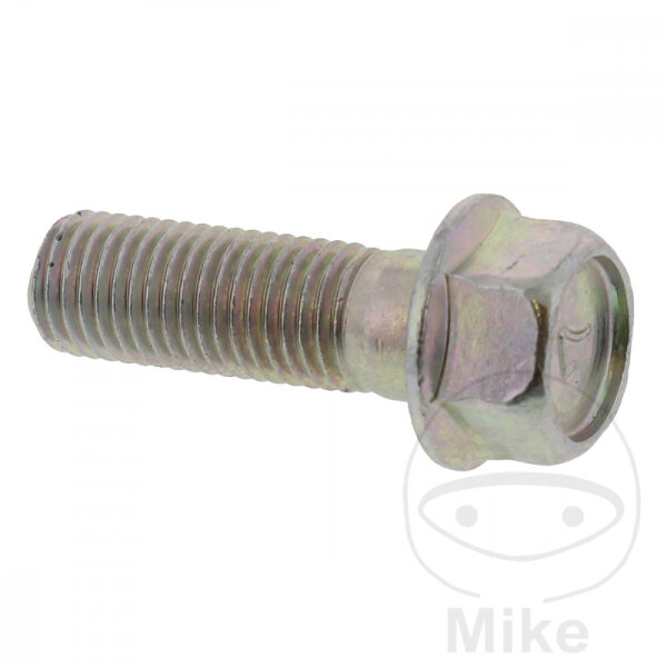 Tornillo M10x1,25x30 para Kawasaki Z 500 650 750 1000