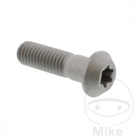 Schraube M8x1,25x28 f&uuml;r Yamaha VMX-17 1700 XT 1200
