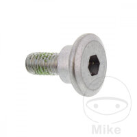 Schraube M6x1x17 f&uuml;r Honda CR 80 125 250 NX 250 650...
