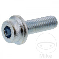 Vite M8x1,25x25 per Hyosung GV 650 06-15
