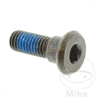 Schraube M8x1,25x24 f&uuml;r ATU CX 50 Kymco 50 125 150...