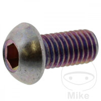 Schraube M8x1,25x16 f&uuml;r Suzuki DR 350 90-97