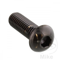 Schraube M8x1,25x25 f&uuml;r BMW C1 125 200 F 800 K 100...
