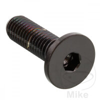 Schraube M8x1,25x26 f&uuml;r BMW F 750 800 850 K 1300...