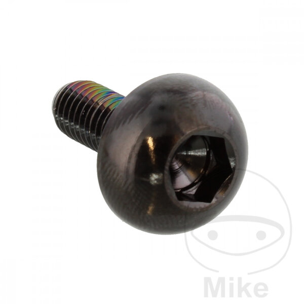Vite M6x1x17 per Honda 600 700 750 800 900 1000 1100 1300 1800