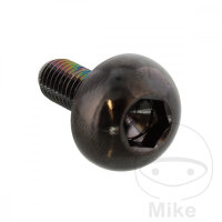 Schraube M6x1x17 f&uuml;r Honda 600 700 750 800 900 1000...