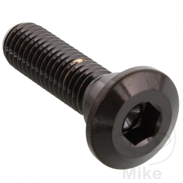 Tornillo M8x1,25x30 para Kawasaki 50 80 125 250 300 305 400 440 450 500 550 600 636 650 700 750 800 900 1000 1100 1200 1400 1500 1600 1700 2000