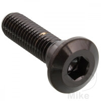 Schraube M8x1,25x30 f&uuml;r Kawasaki 50 80 125 250 300...