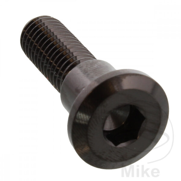 Tornillo M8x1,25x30 para Triumph 600 650 660 675 750 765 800 865 900 955 1000 1050 1200 1215 1600 1700 2300