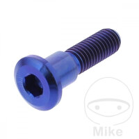 Schraube M8x1,25x33 f&uuml;r Suzuki 125 250 400 500 600...