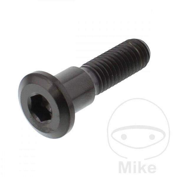 Tornillo M8x1,25x33 para Suzuki 125 250 400 500 600 650 750 800 1000 1100 1200 1300 1400 1500