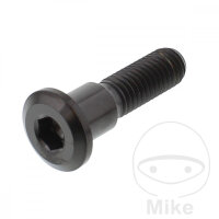 Schraube M8x1,25x33 f&uuml;r Suzuki 125 250 400 500 600...